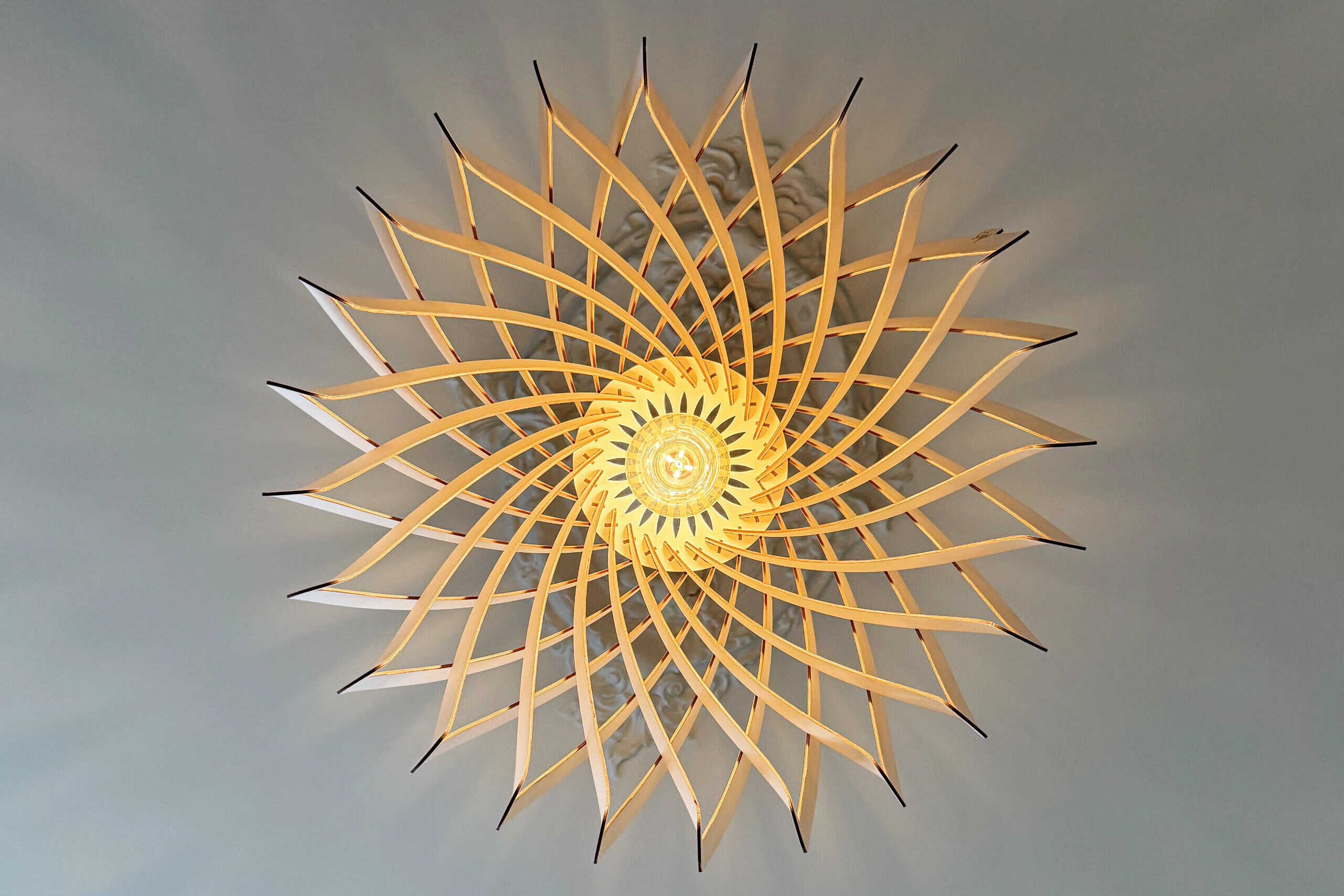 Suze La méduse - photo 4