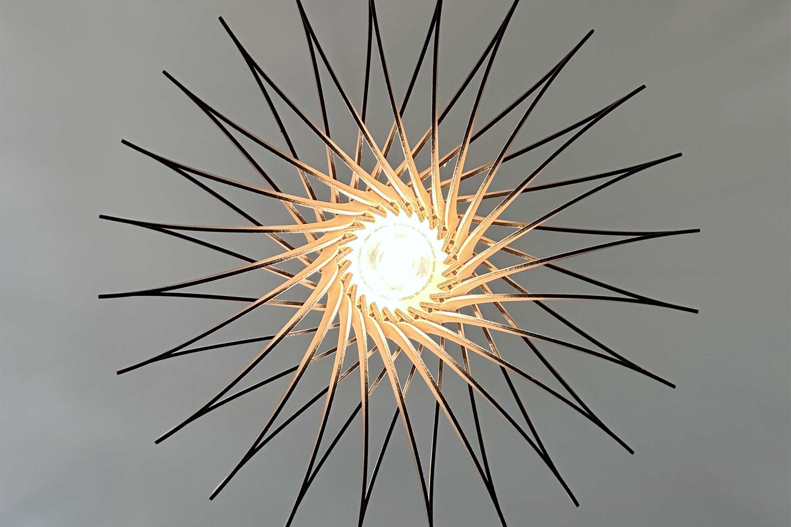 Gaston Le chardon - photo 5