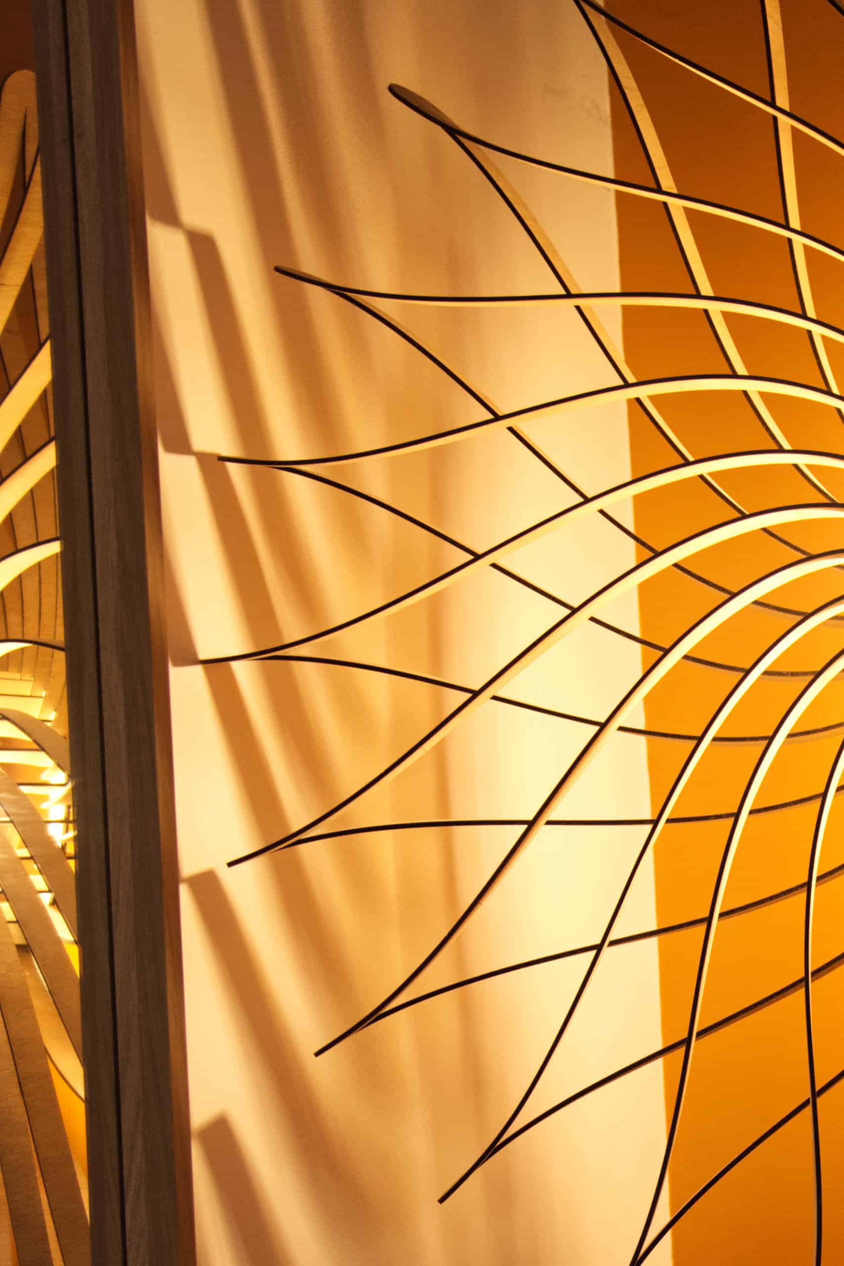 Dalida Le dahlia - photo 5