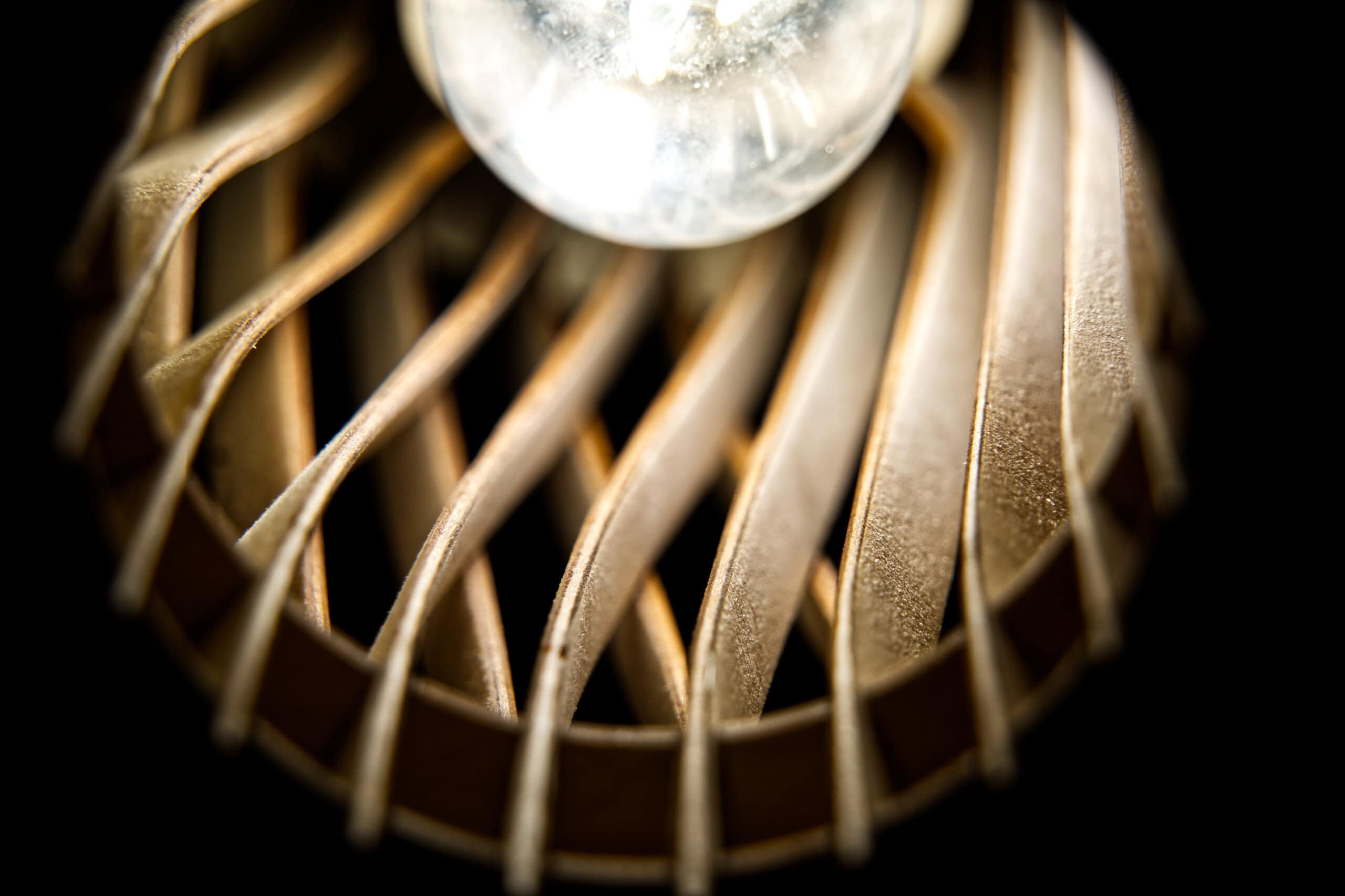 Vincent L&rsquo;incandescent - photo 6