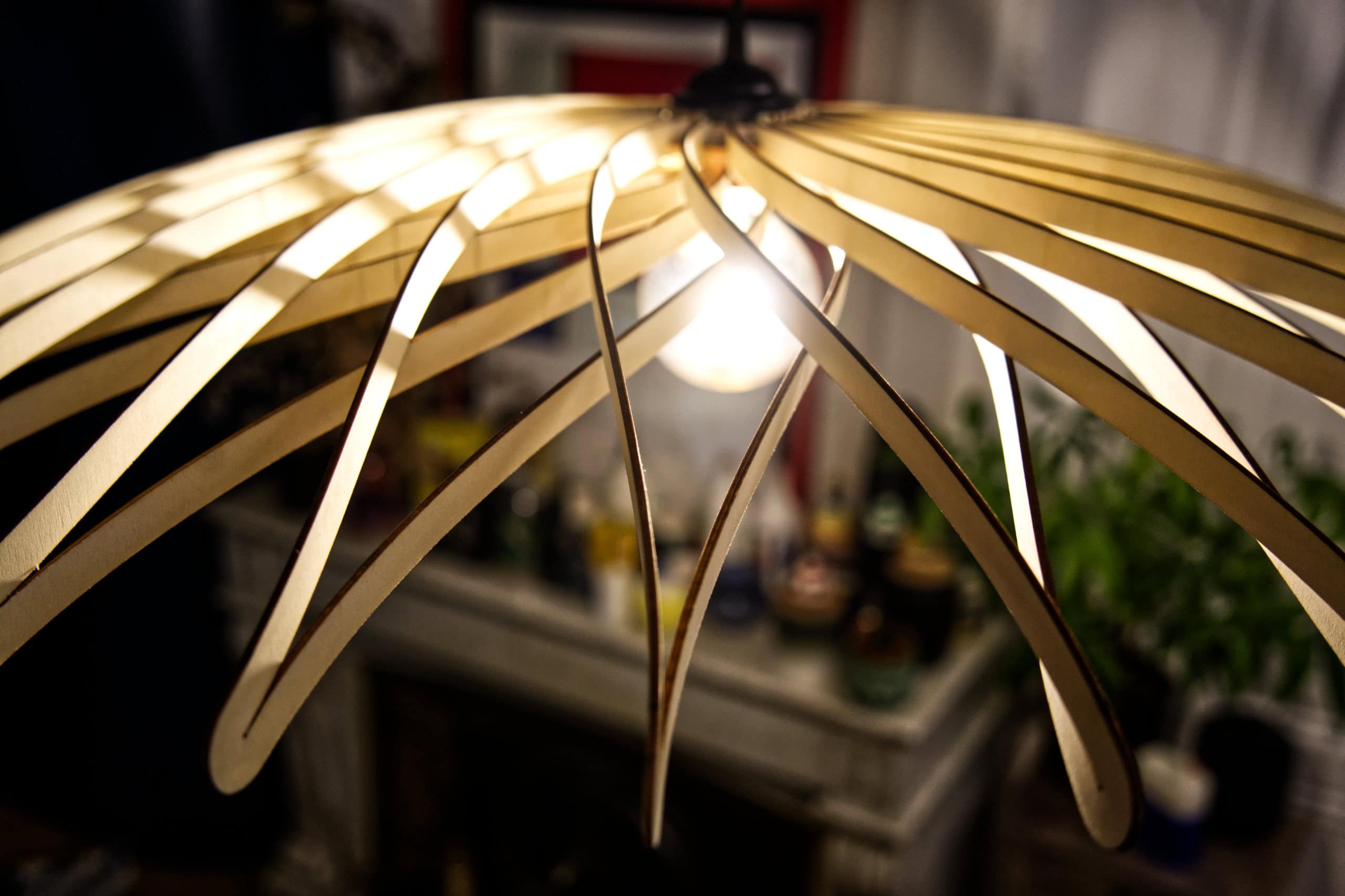 Dalida Le dahlia - photo 6