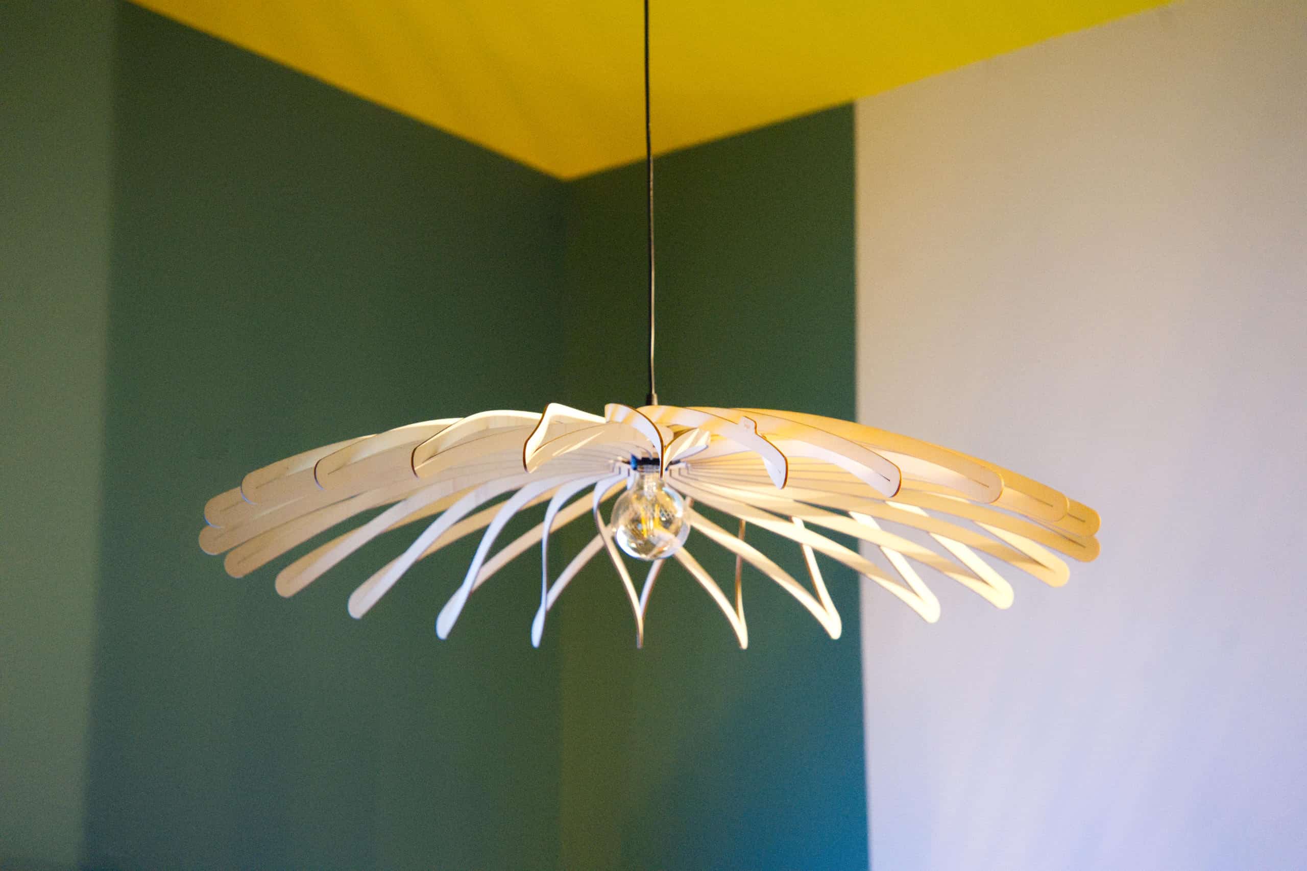 Dalida Le dahlia - photo 2