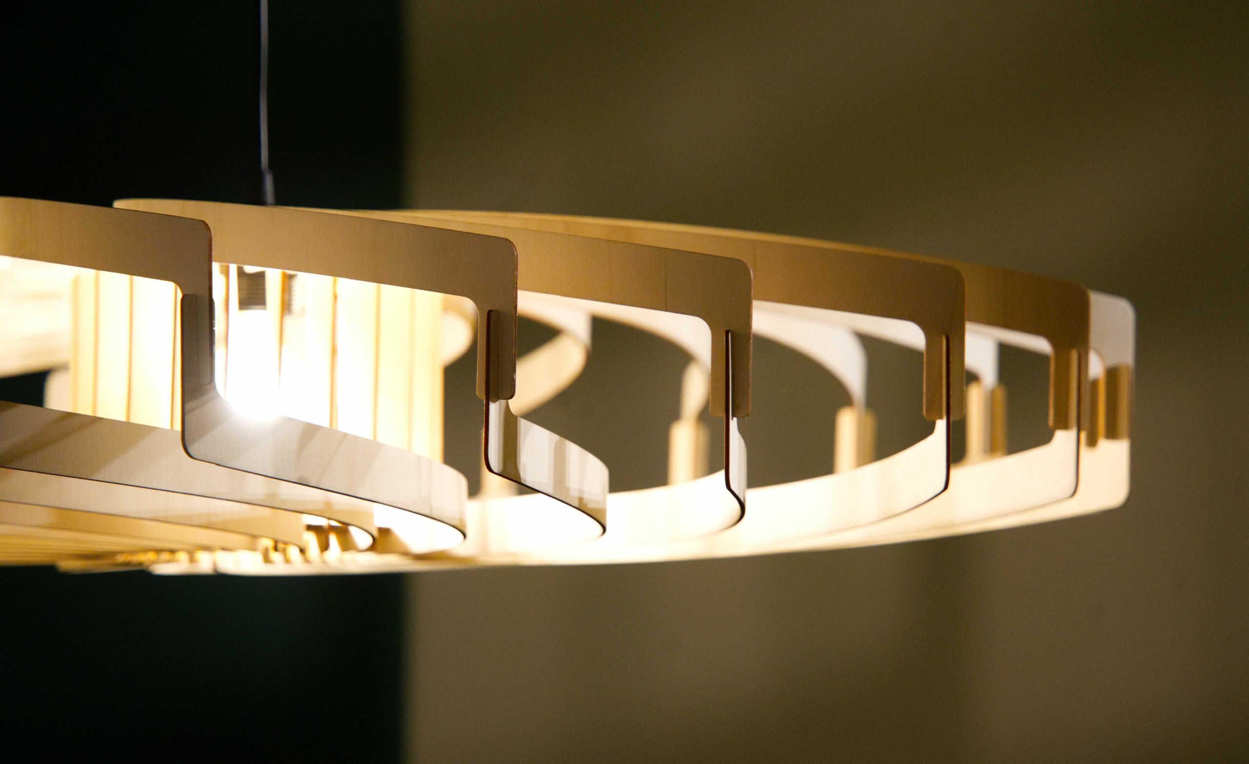 Olivia La gardiena - photo 11