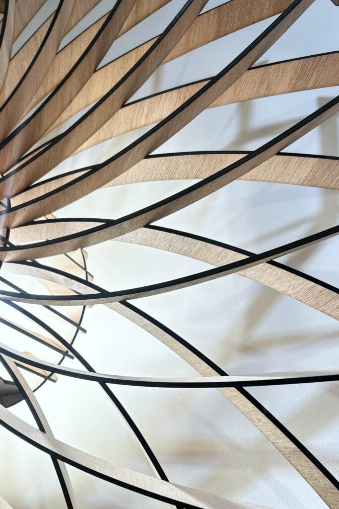 Charlie Le pissenlit