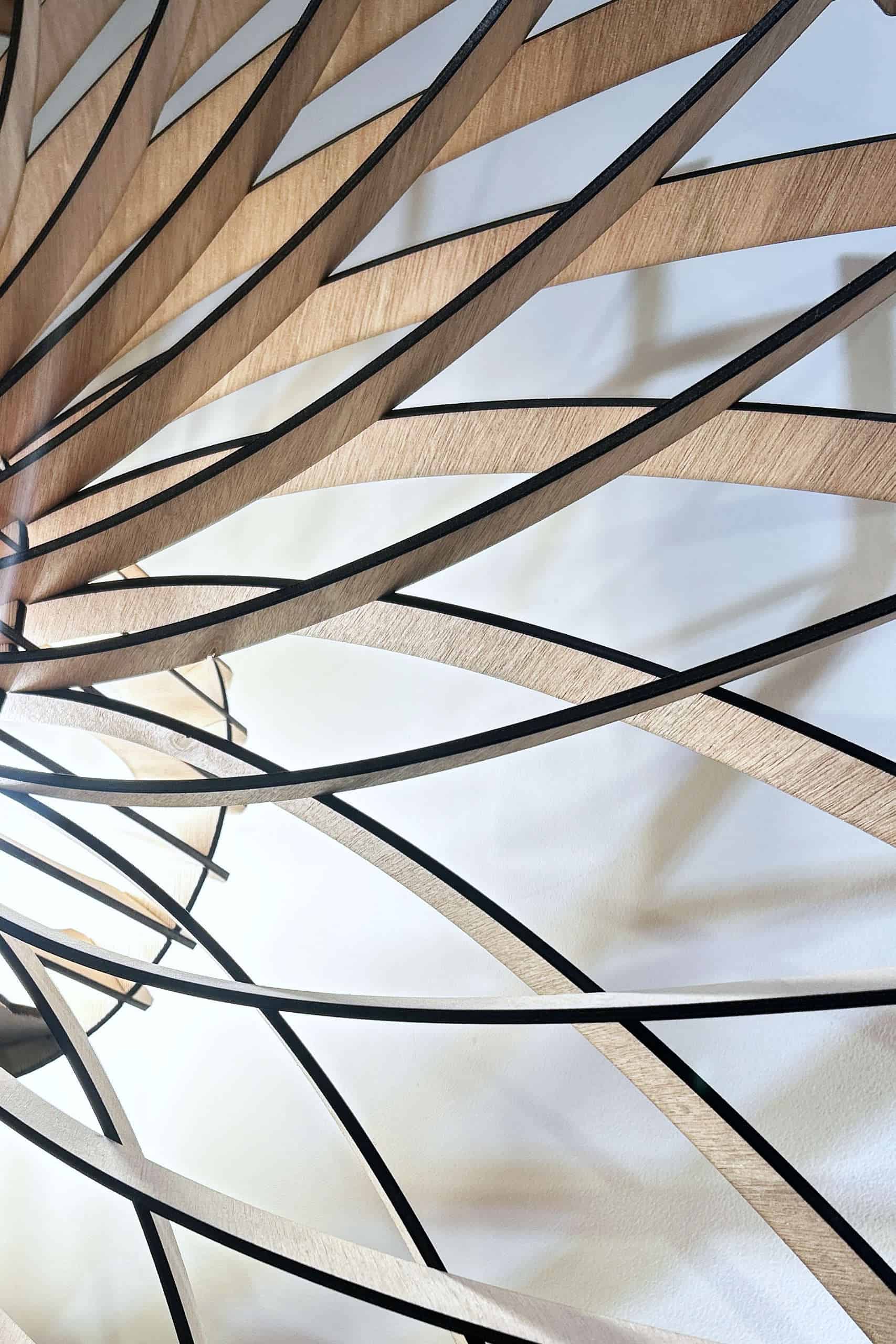 Charlie Le pissenlit - photo 6