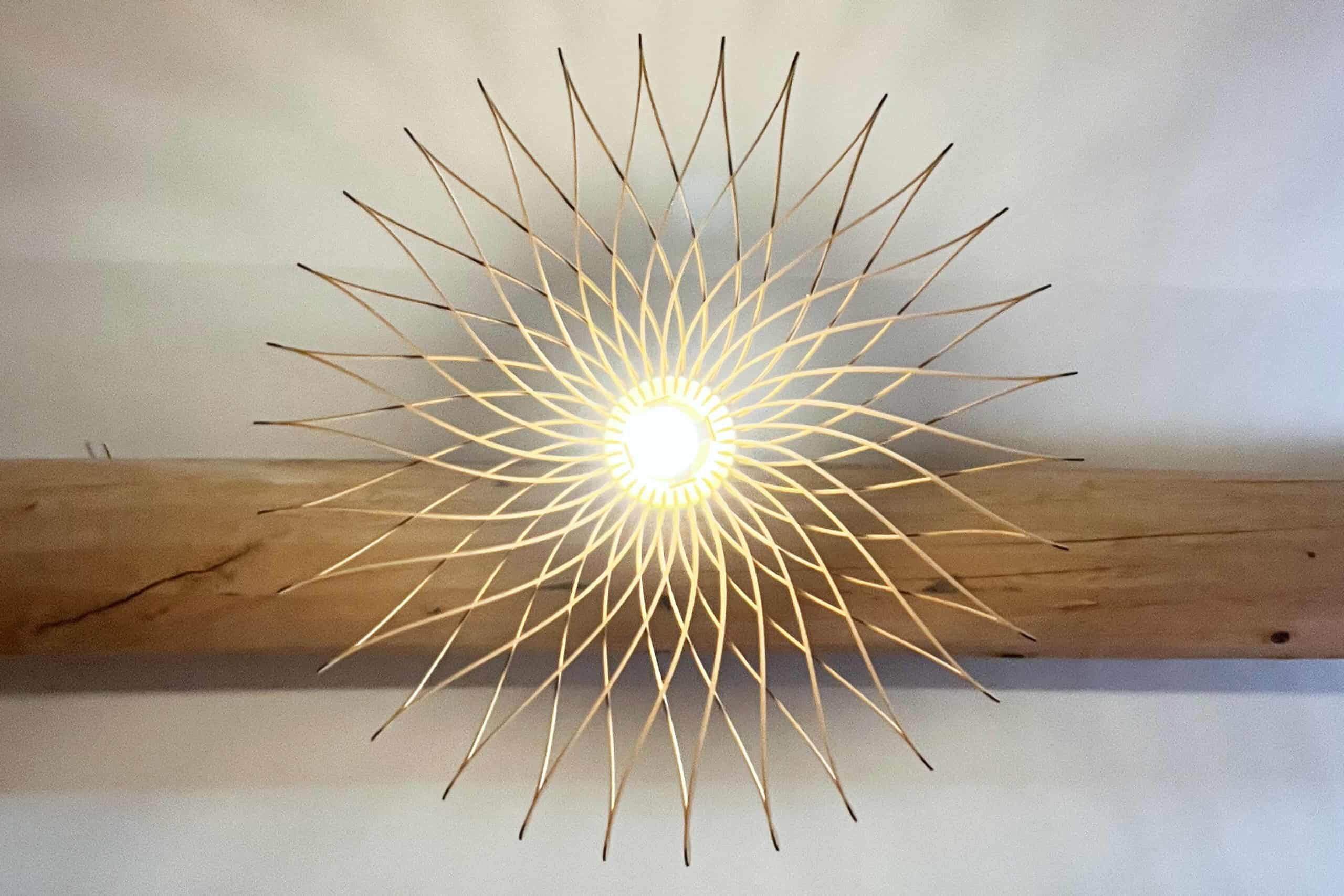 Dalida Le dahlia - photo 5