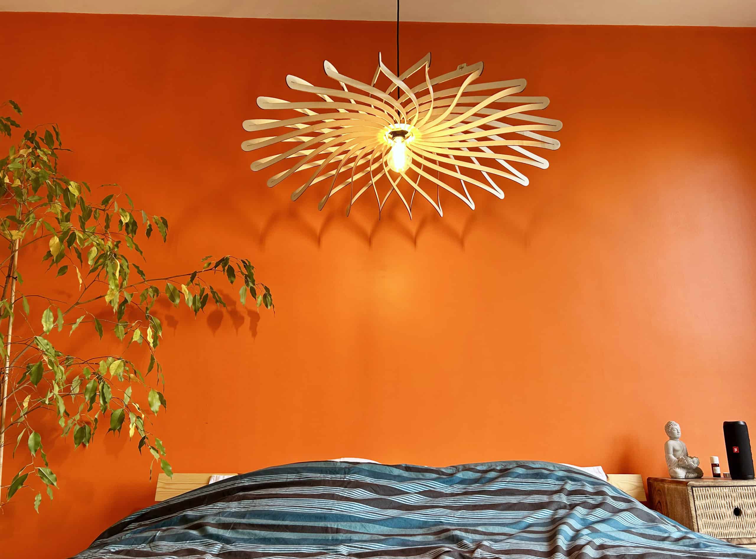 Dalida Le dahlia - photo 1