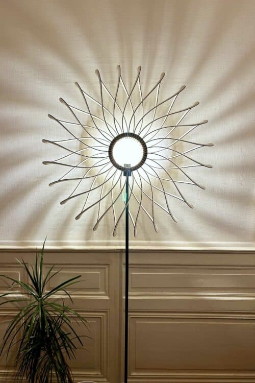 Dalida Le dahlia - Ambiance