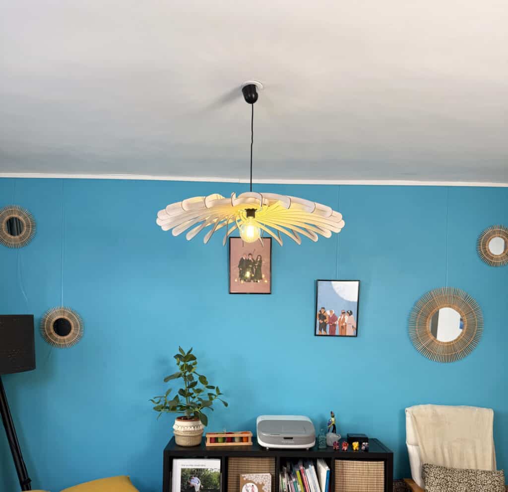 Photo client - Dalida Le dahlia