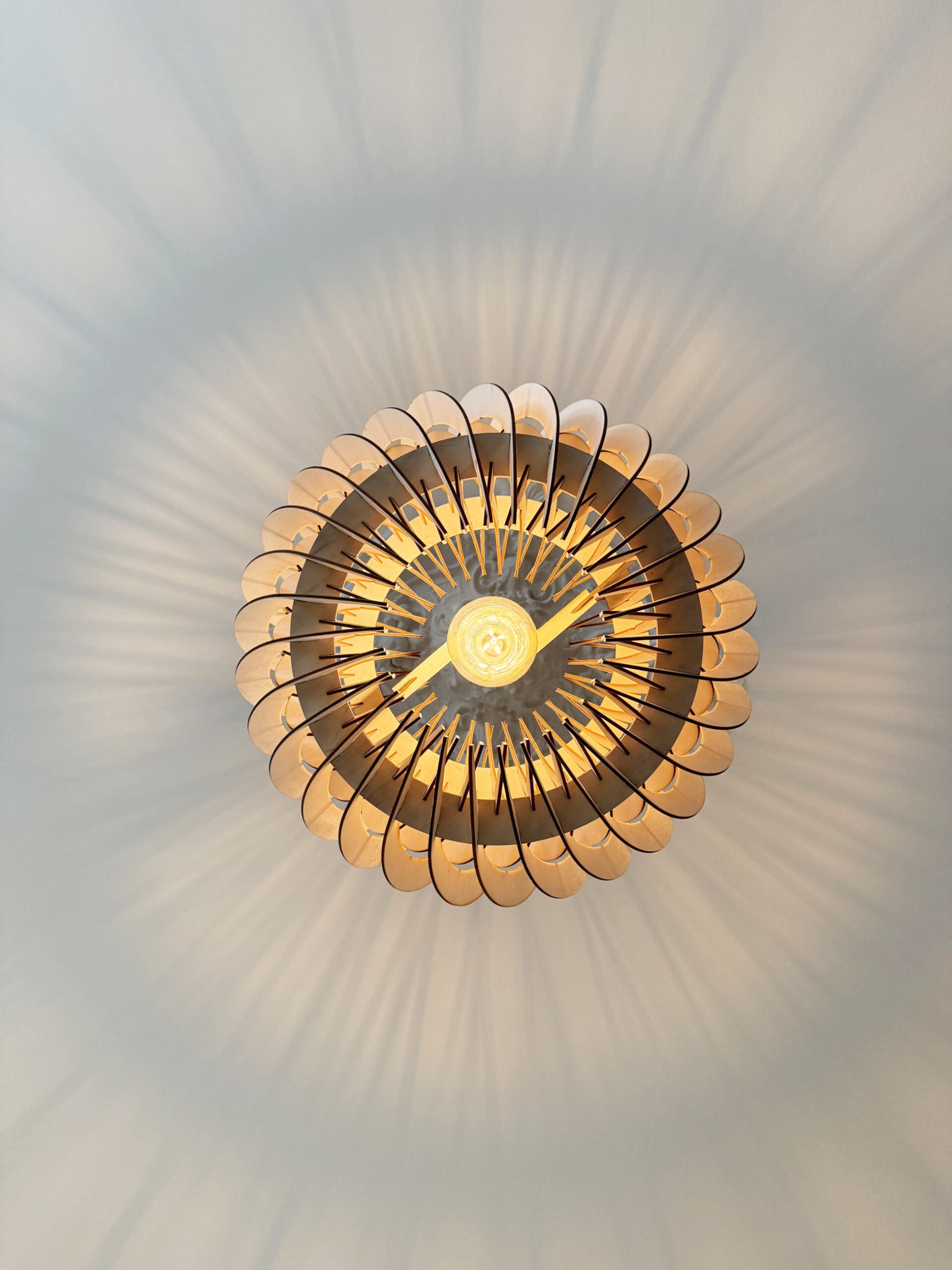 Alban Le virevoltant - photo 4