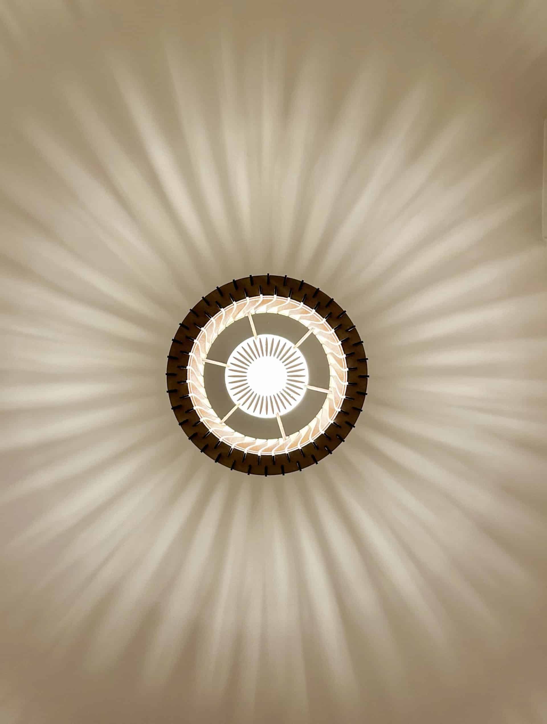 Vincent L&rsquo;incandescent - photo 5