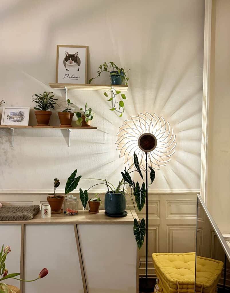 Coulisses de l'Atelier Sâpi — actus et nouveautés