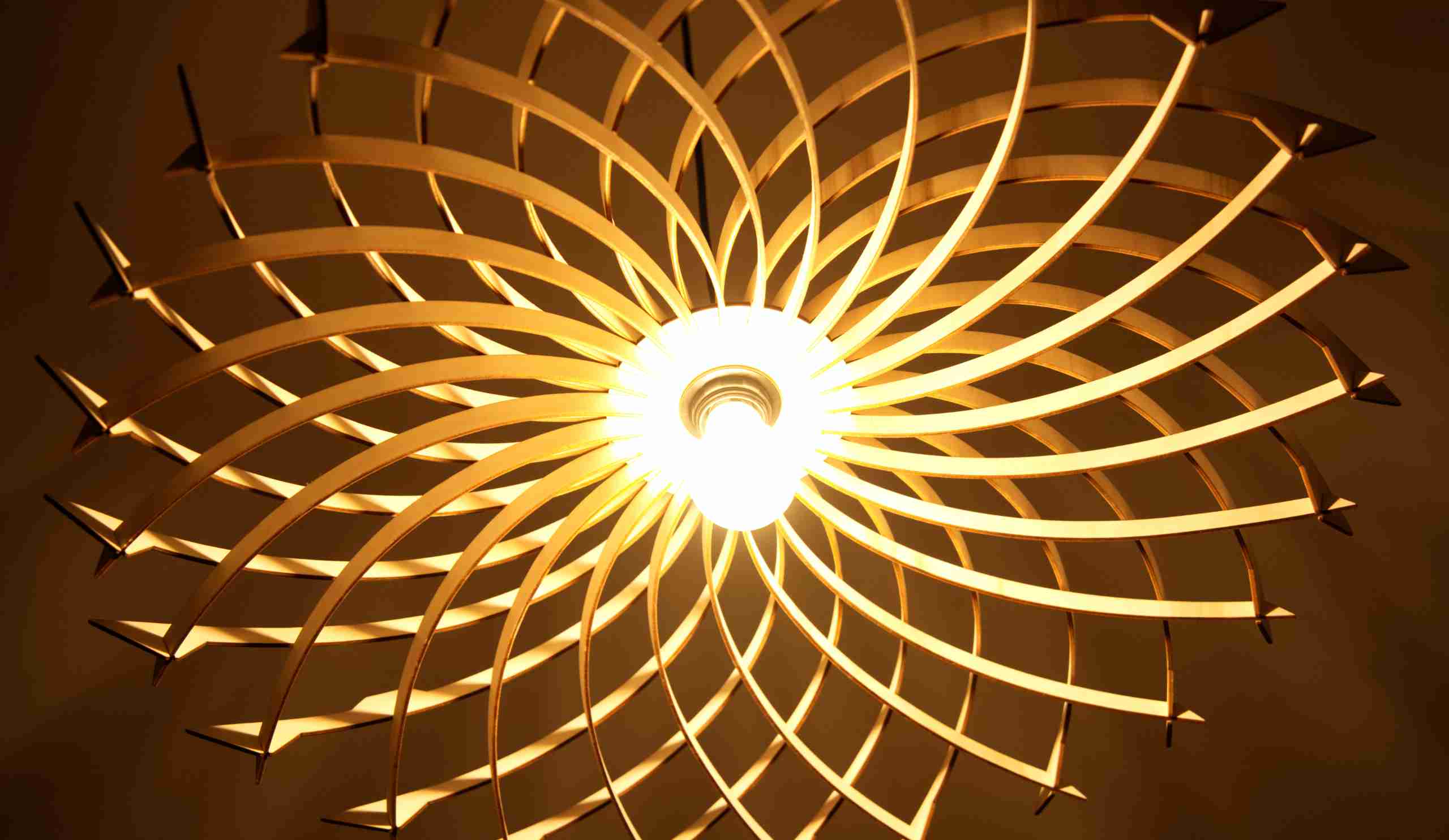 Arthus Le lotus - photo 5