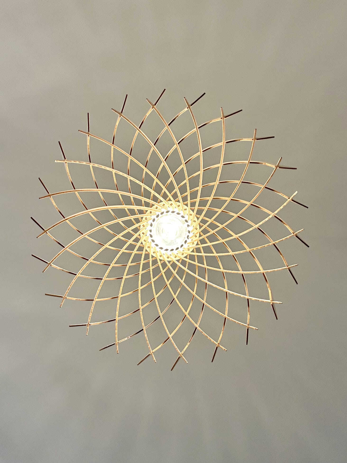 Arthus Le lotus - photo 4