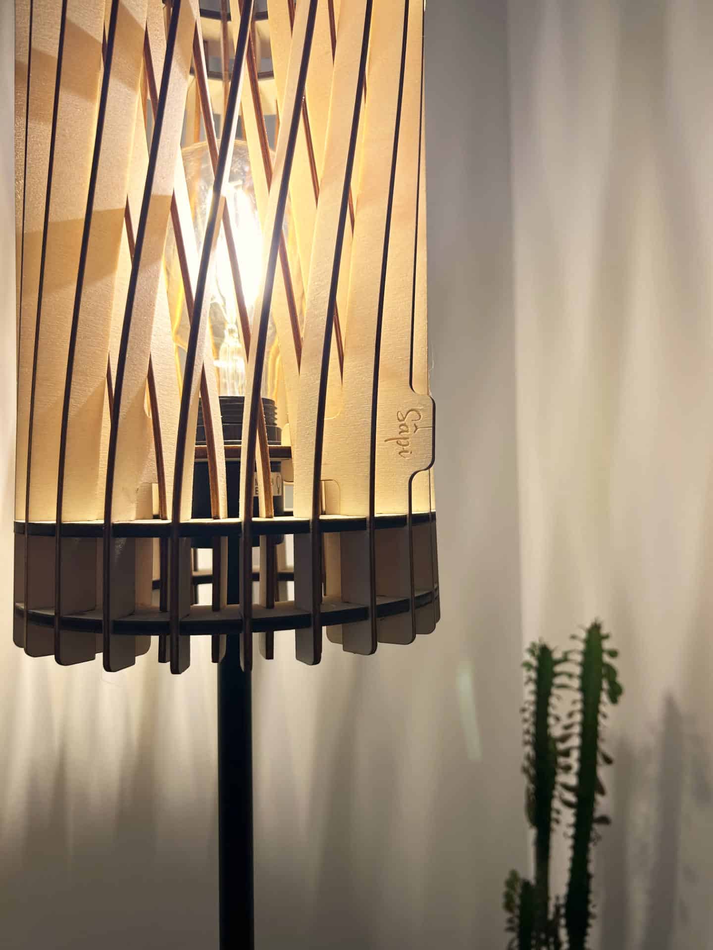 Vincent L&rsquo;incandescent - photo 4