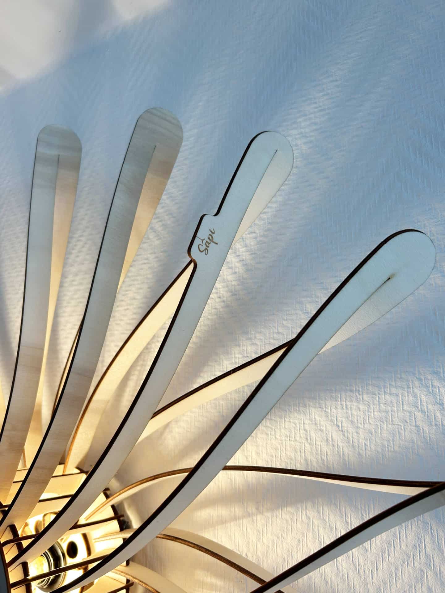 Dalida Le dahlia - photo 5