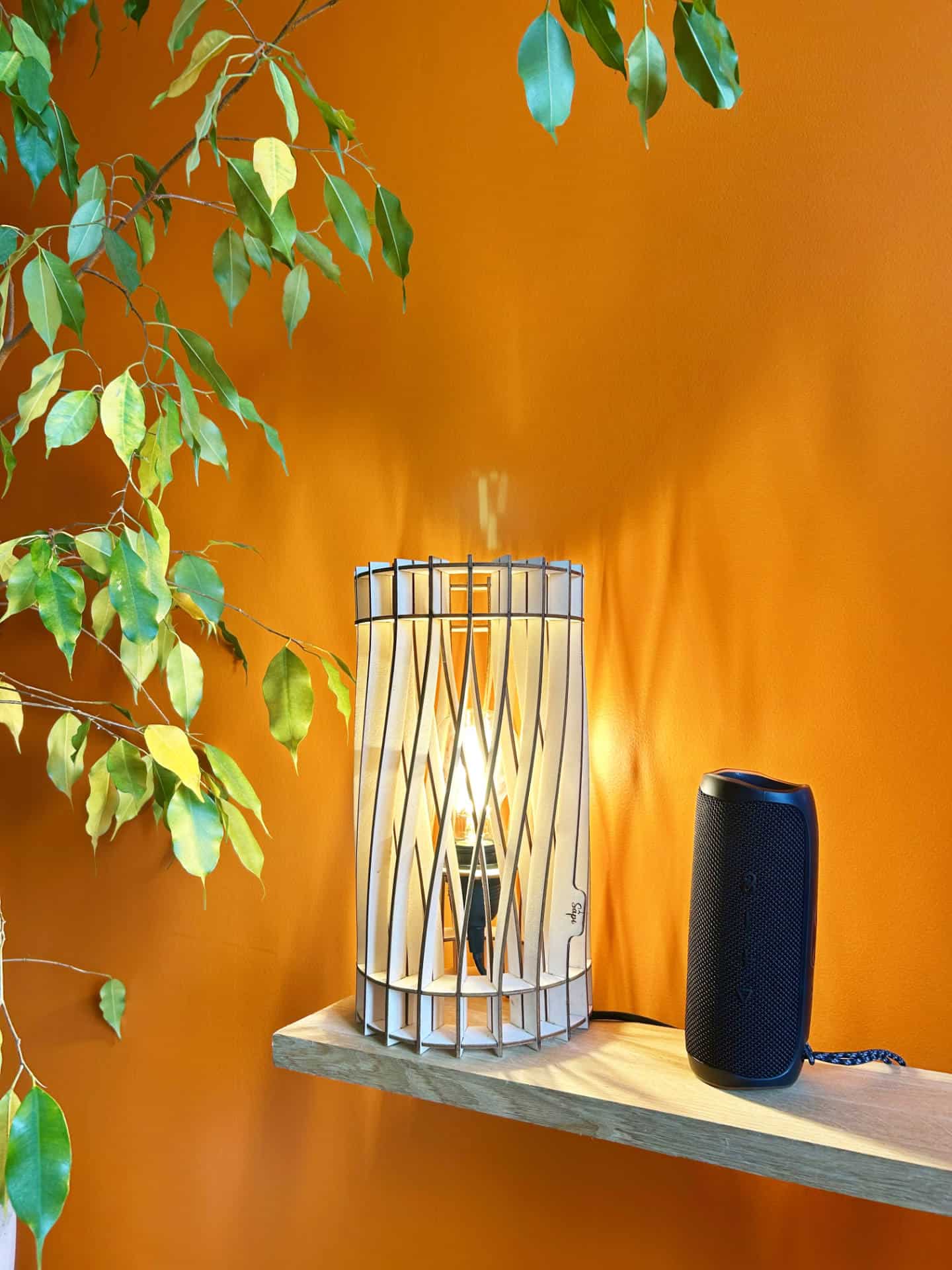 Vincent L&rsquo;incandescent - photo 3