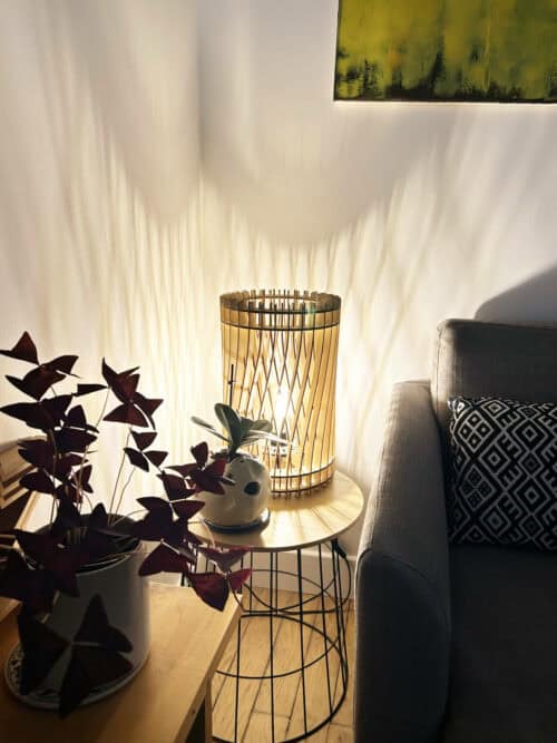 Vincent L&rsquo;incandescent - Ambiance