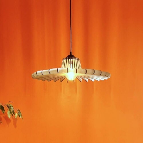 Timothée L&rsquo;araignée - photo 4