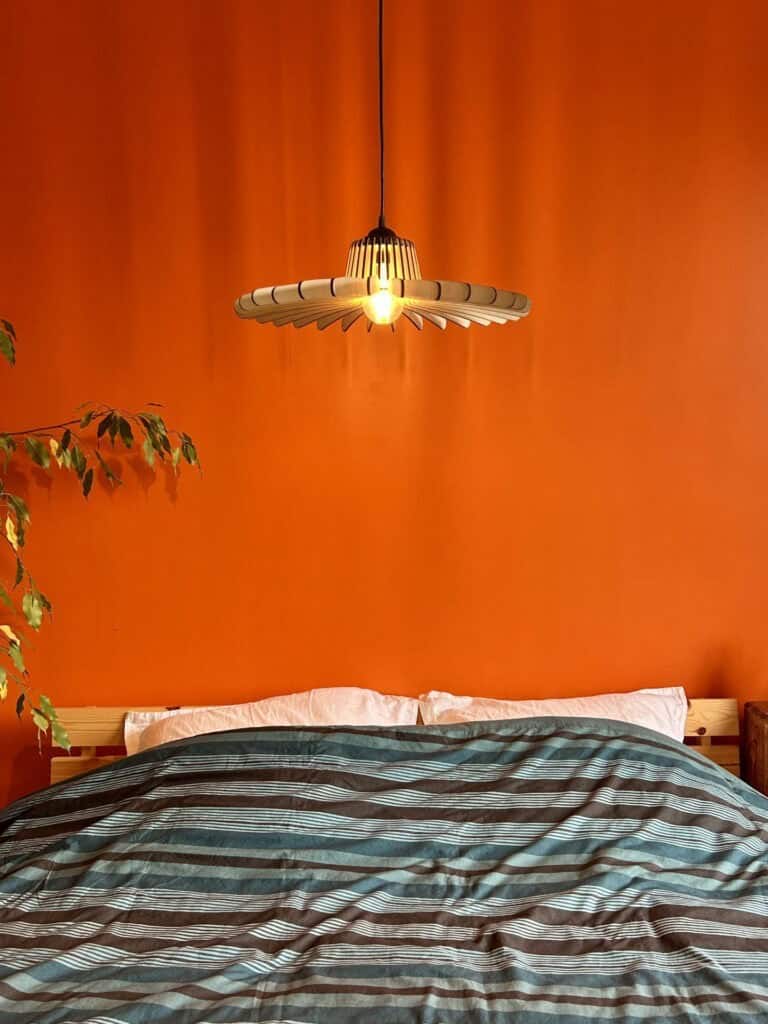 Timothée L&rsquo;araignée