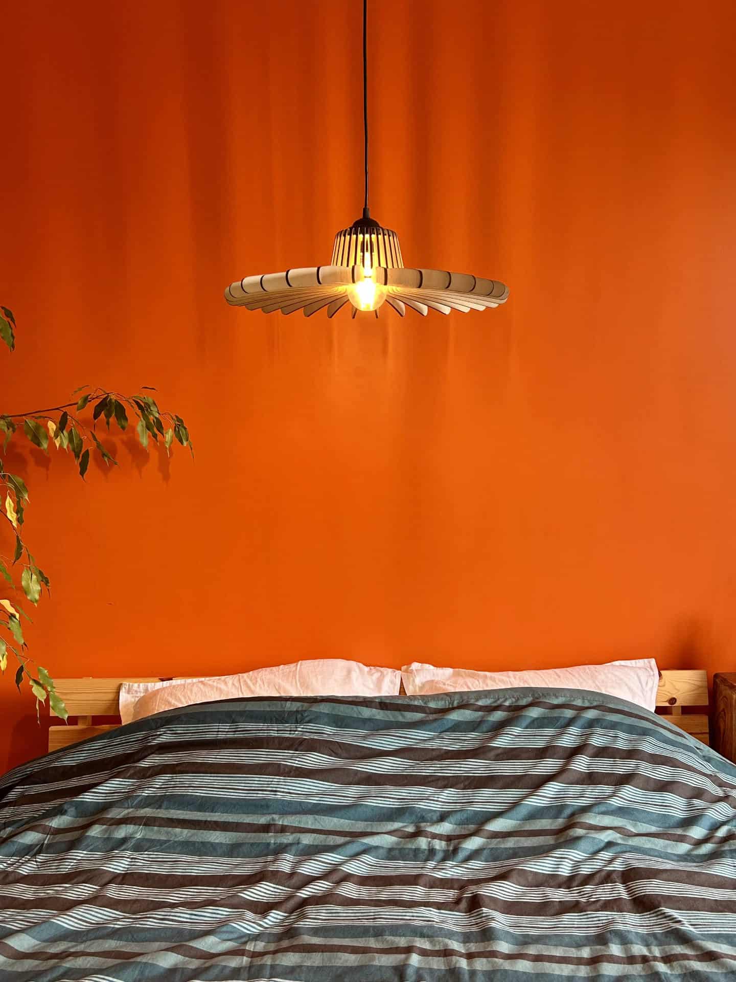 Timothée L&rsquo;araignée - photo 3