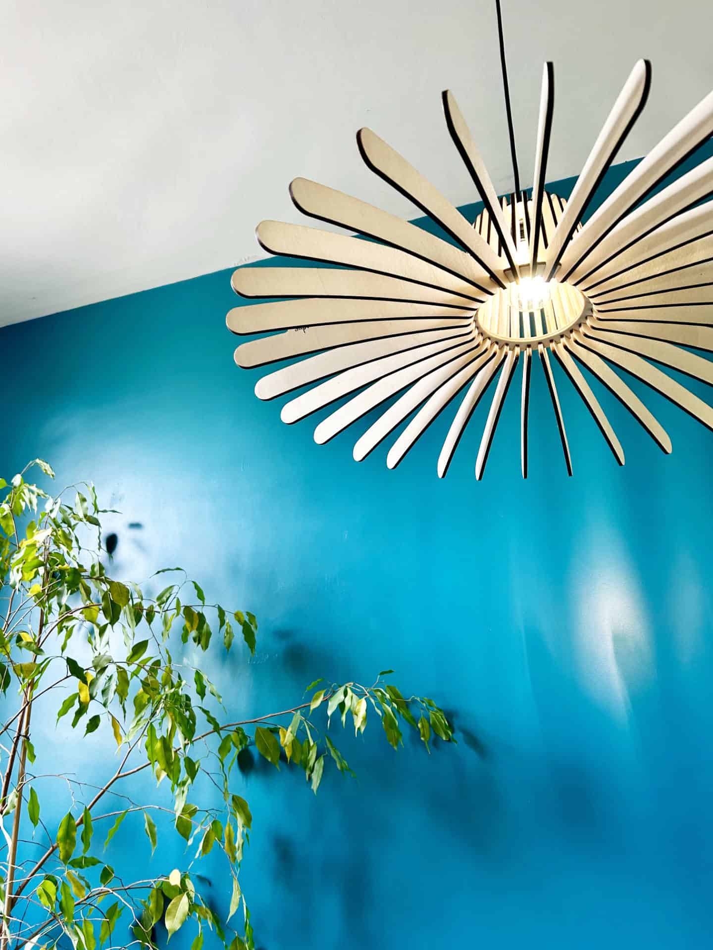 Timothée L&rsquo;araignée - photo 2