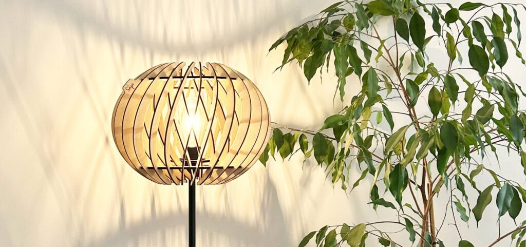 Alban Le virevoltant