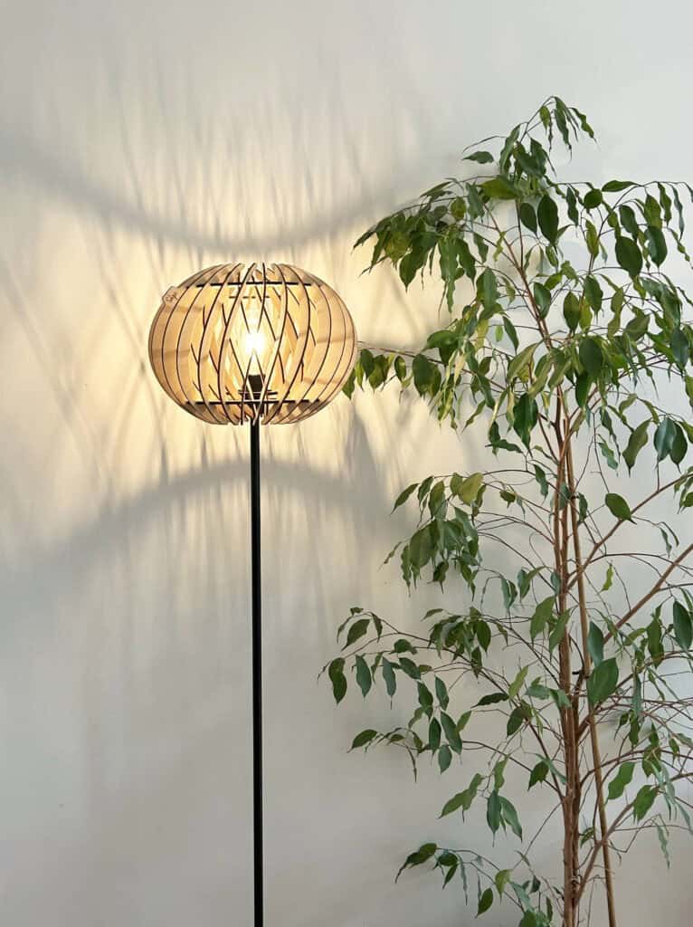 Alban Le virevoltant